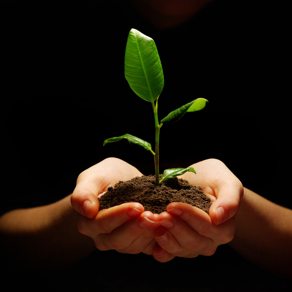 7 Ways You Can Participate In Earth Hour